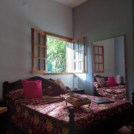 Ribeira Grande Divin'Art B&B 외부 사진