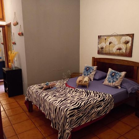 Ribeira Grande Divin'Art B&B 외부 사진